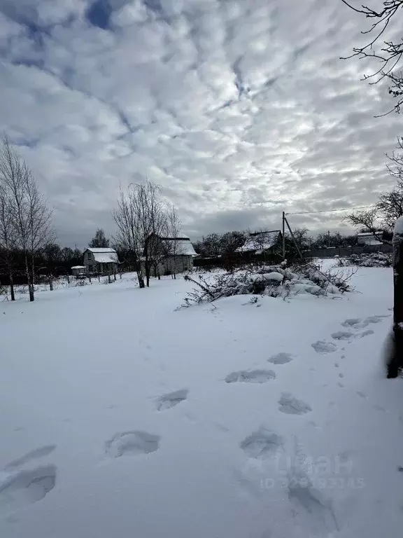 Участок в Брянская область, Брянский район, Снежское с/пос, пос. ... - Фото 1