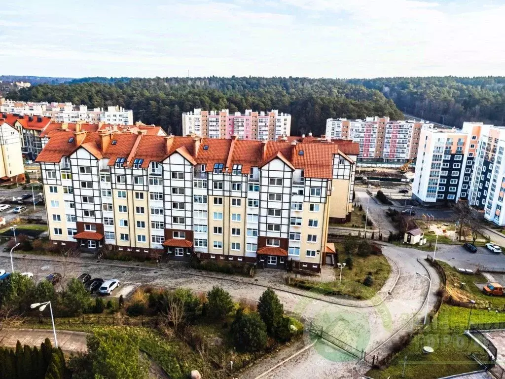 1-к кв. Калининградская область, Светлогорск Олимпийский бул., 5 (33.0 ... - Фото 1