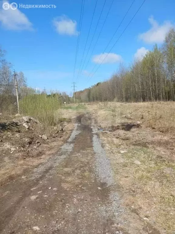 Участок в Томск, Кировский район, микрорайон Каскад (14 м) - Фото 1