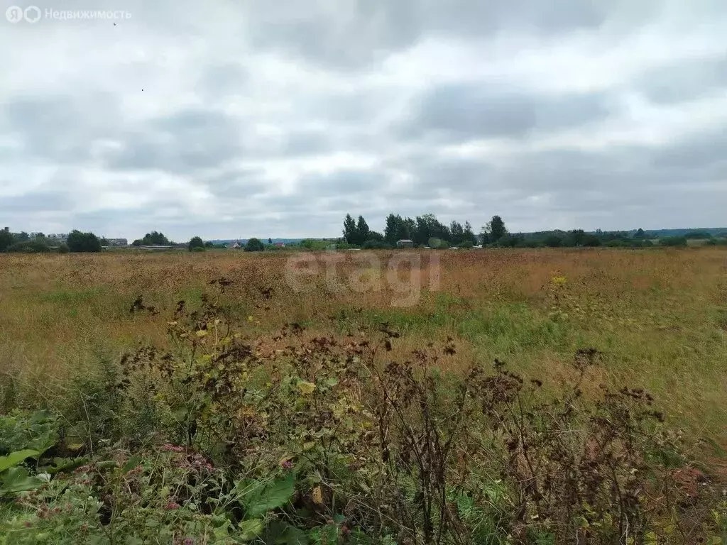 Участок в Ярославский муниципальный округ, село Медягино (16.28 м) - Фото 1