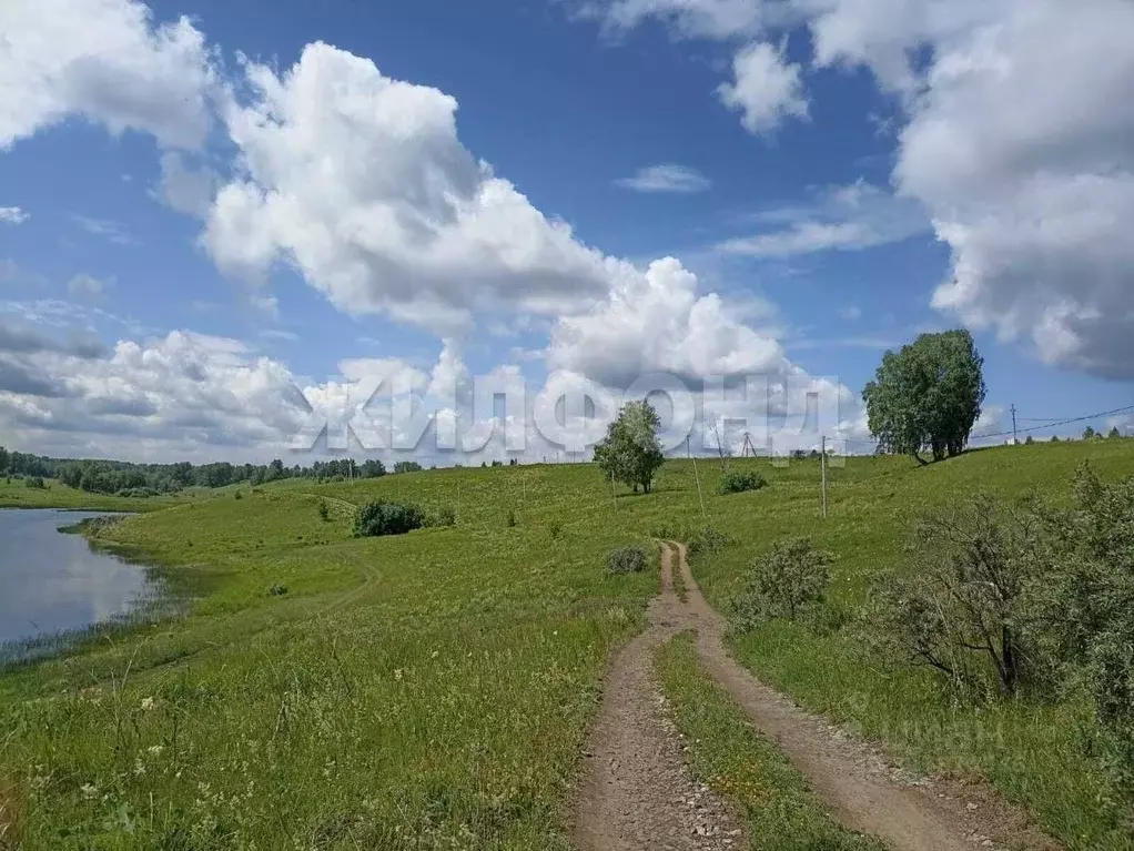 Участок в Новосибирская область, Мошковский район, с. Сокур бул. ... - Фото 1