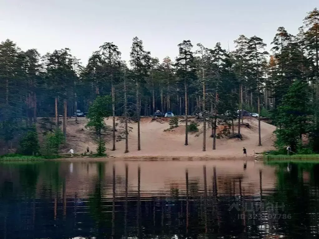 Участок в Ленинградская область, Приозерский район, Сосновское с/пос, ... - Фото 1
