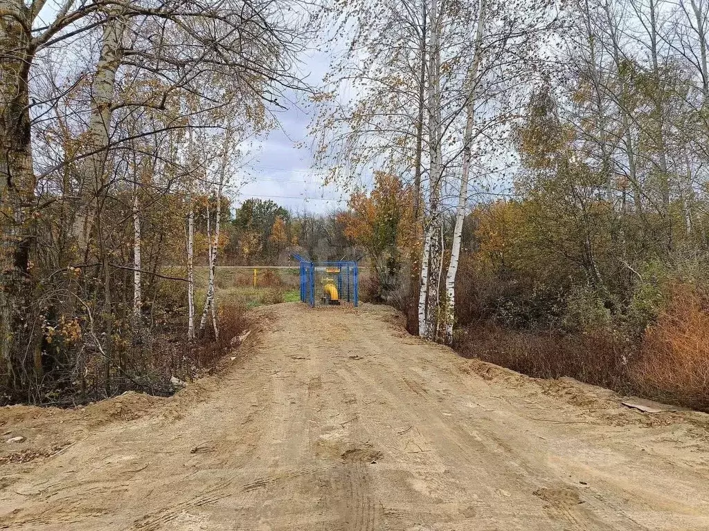 Участок в Тамбовская область, Котовск ул. Лиловая (7.2 сот.) - Фото 2