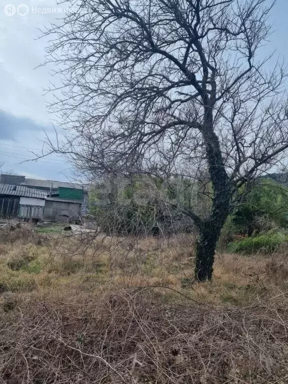 Участок в село Архипо-Осиповка, Вишнёвая улица (6.25 м) - Фото 1