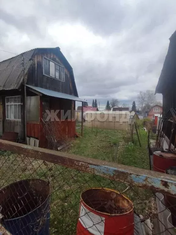 Дом в Новосибирская область, Новосибирский район, Новолуговской ... - Фото 1