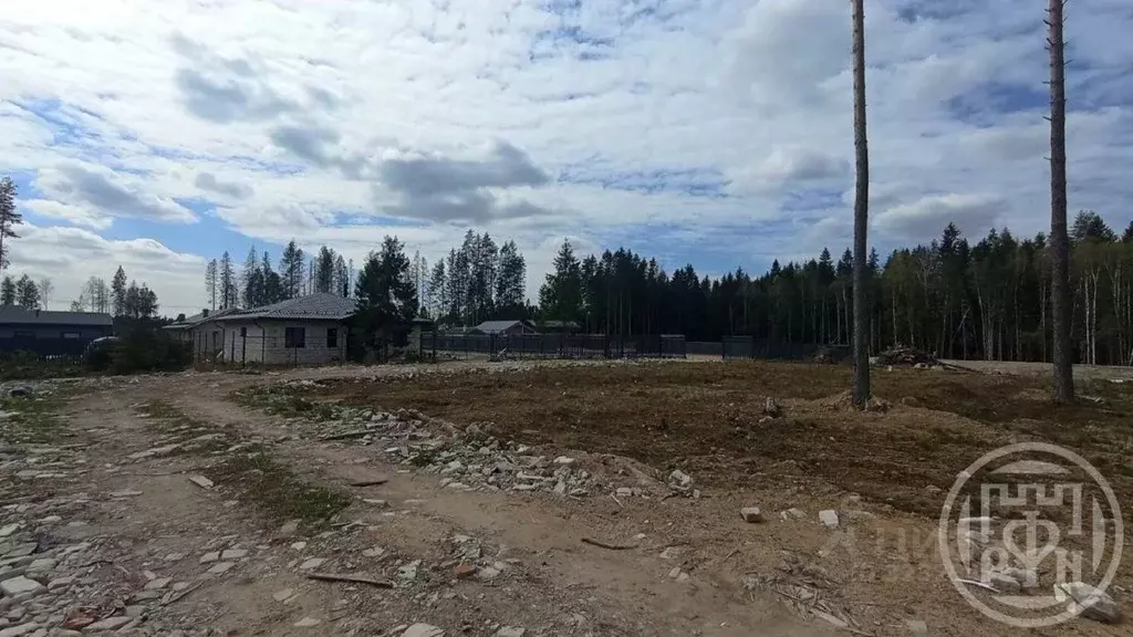 Участок в Ленинградская область, Всеволожский район, Колтушское ... - Фото 2