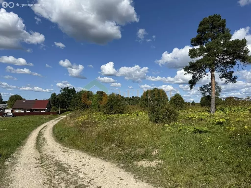 Участок в Волосовский район, Большеврудское сельское поселение, ... - Фото 1
