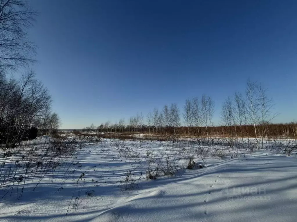 Участок в Калининградская область, Гурьевский муниципальный округ, ... - Фото 2