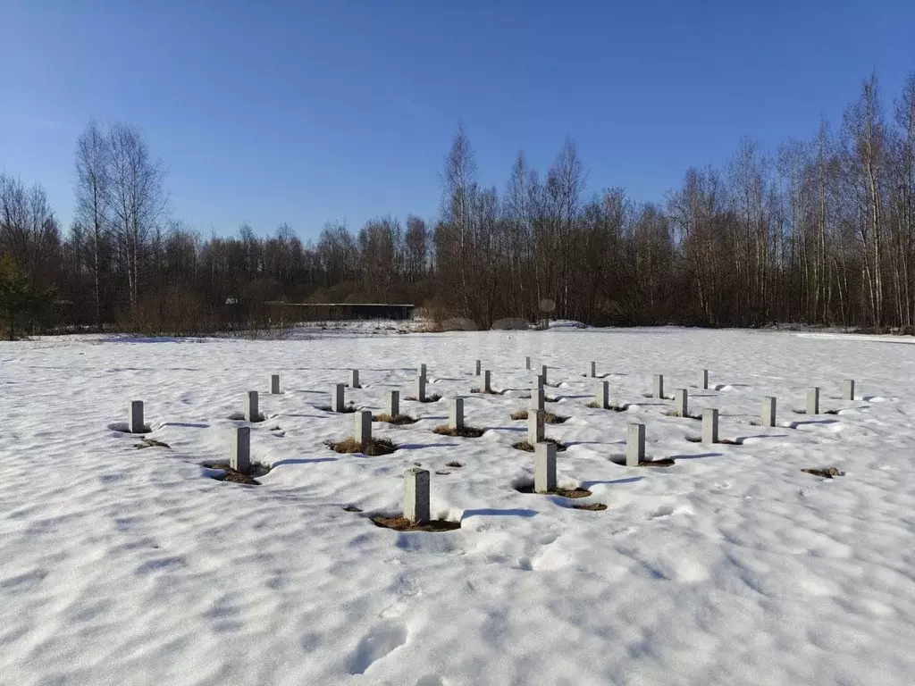 Участок в Ярославская область, Ярославский муниципальный округ, с. ... - Фото 1