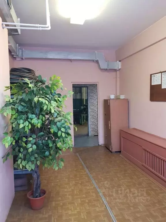 Помещение свободного назначения в Коми, Воркута ул. Гоголя, 6 (234 м) - Фото 1