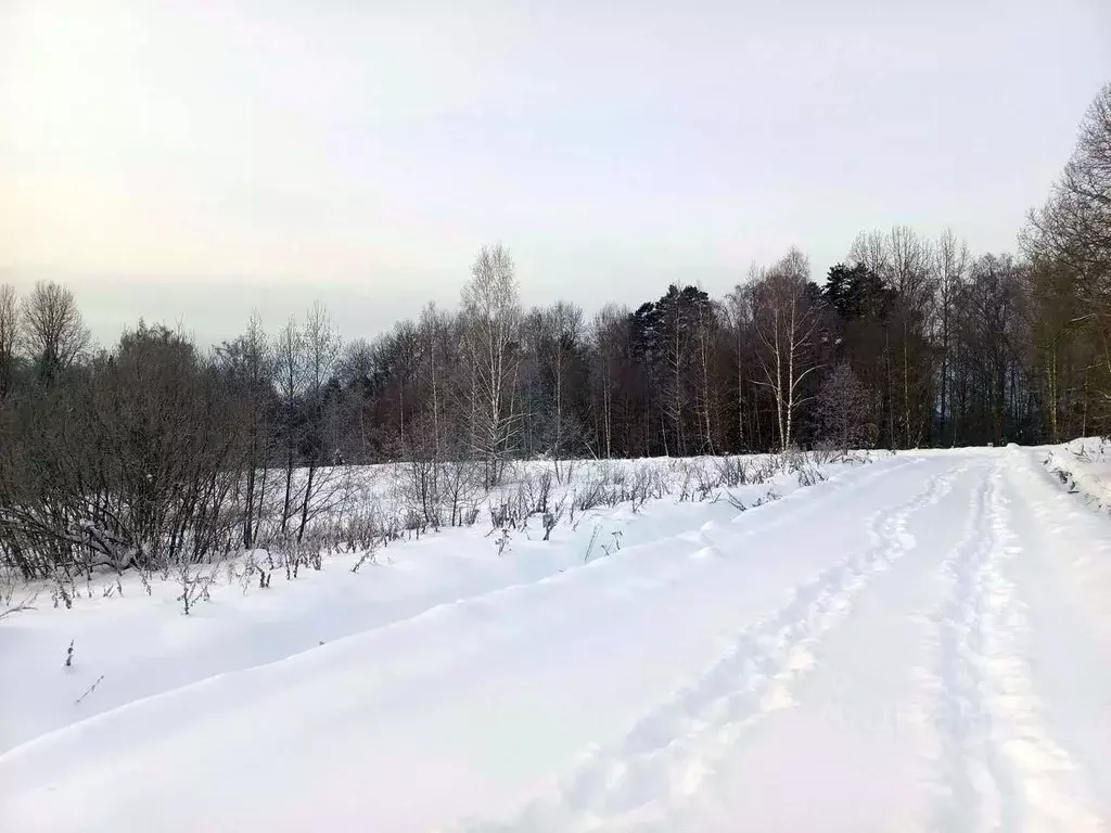 Участок в Московская область, Дмитровский городской округ, Форест Клаб ... - Фото 1