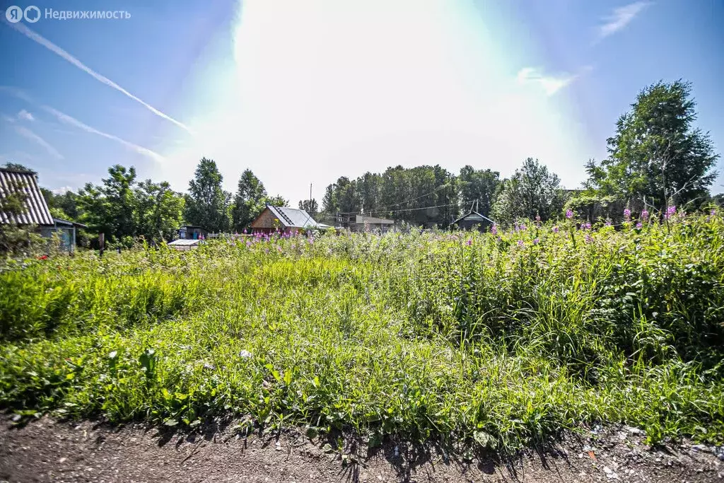 Участок в Бердск, СНТ Ива, 17-я улица (5.63 м) - Фото 0