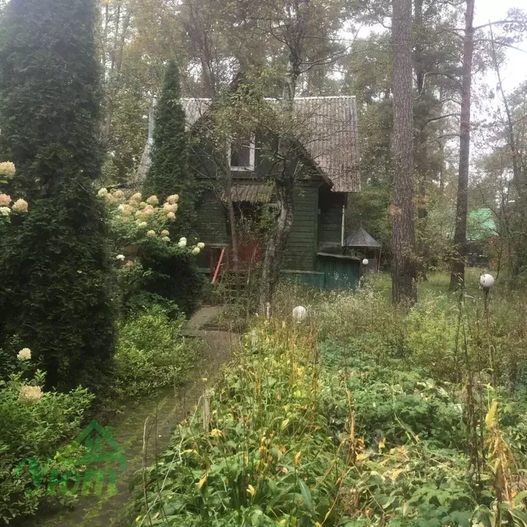 Дом в Московская область, Люберцы городской округ, Малаховка пгт ул. ... - Фото 1