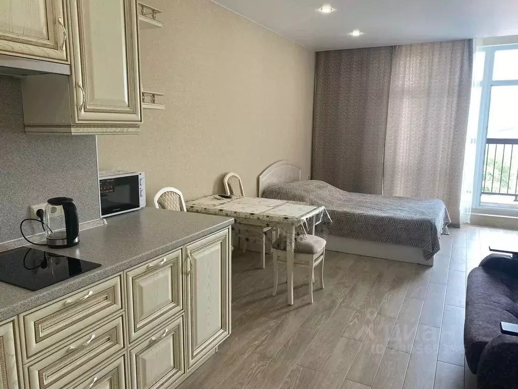 Студия Краснодарский край, Сочи городской округ, Дагомыс пгт ул. ... - Фото 1