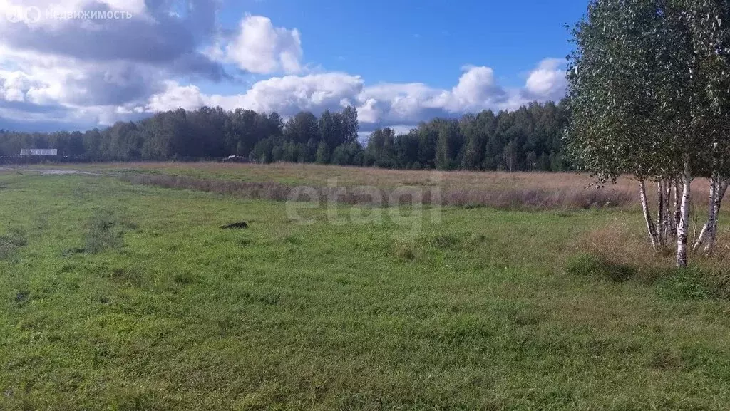 Участок в Томский район, Зоркальцевское сельское поселение, село ... - Фото 2