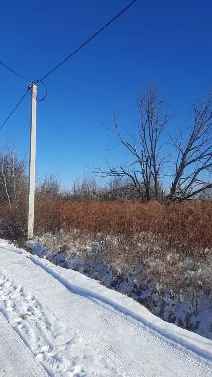 Участок в Хабаровский край, Хабаровск Луч СДТ,  (8.0 сот.) - Фото 2