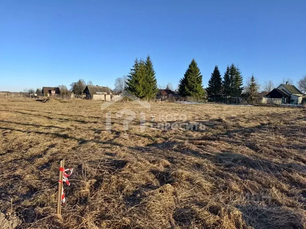 Участок в Ленинградская область, Ломоносовский район, Лопухинское ... - Фото 1