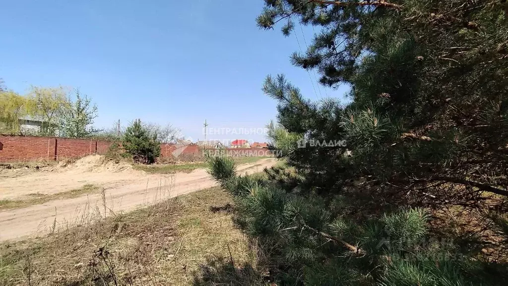 Участок в Рязанская область, Рязанский район, Заборьевское с/пос, с. ... - Фото 0