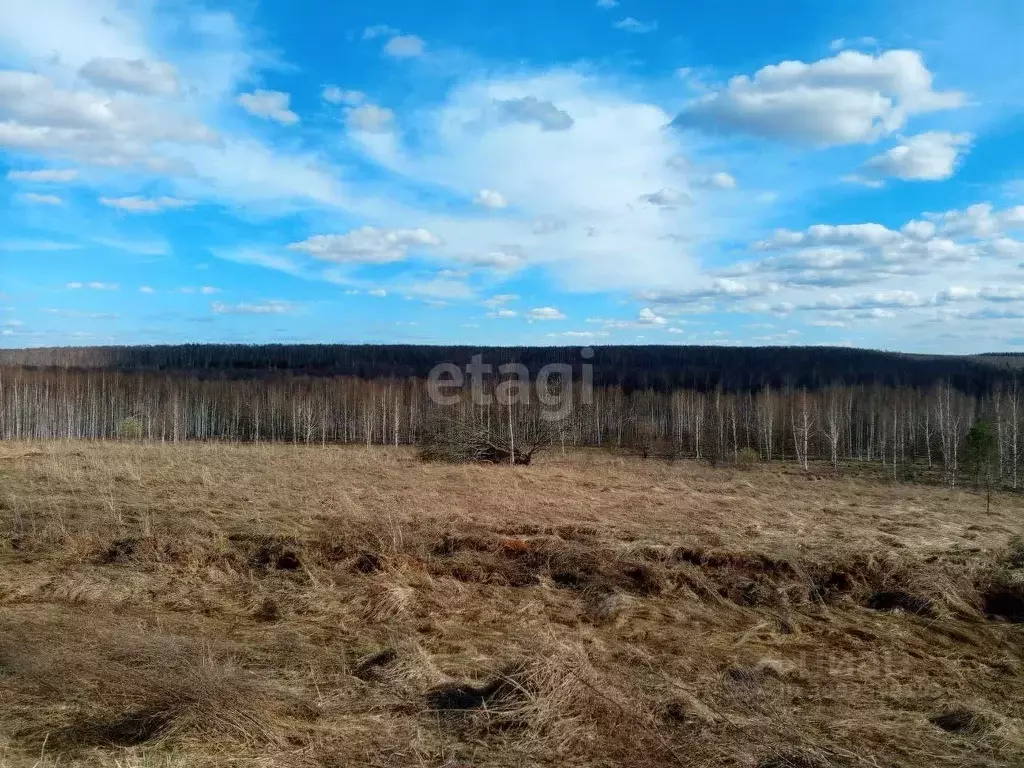 Участок в Нижегородская область, Богородский муниципальный округ, д. ... - Фото 0