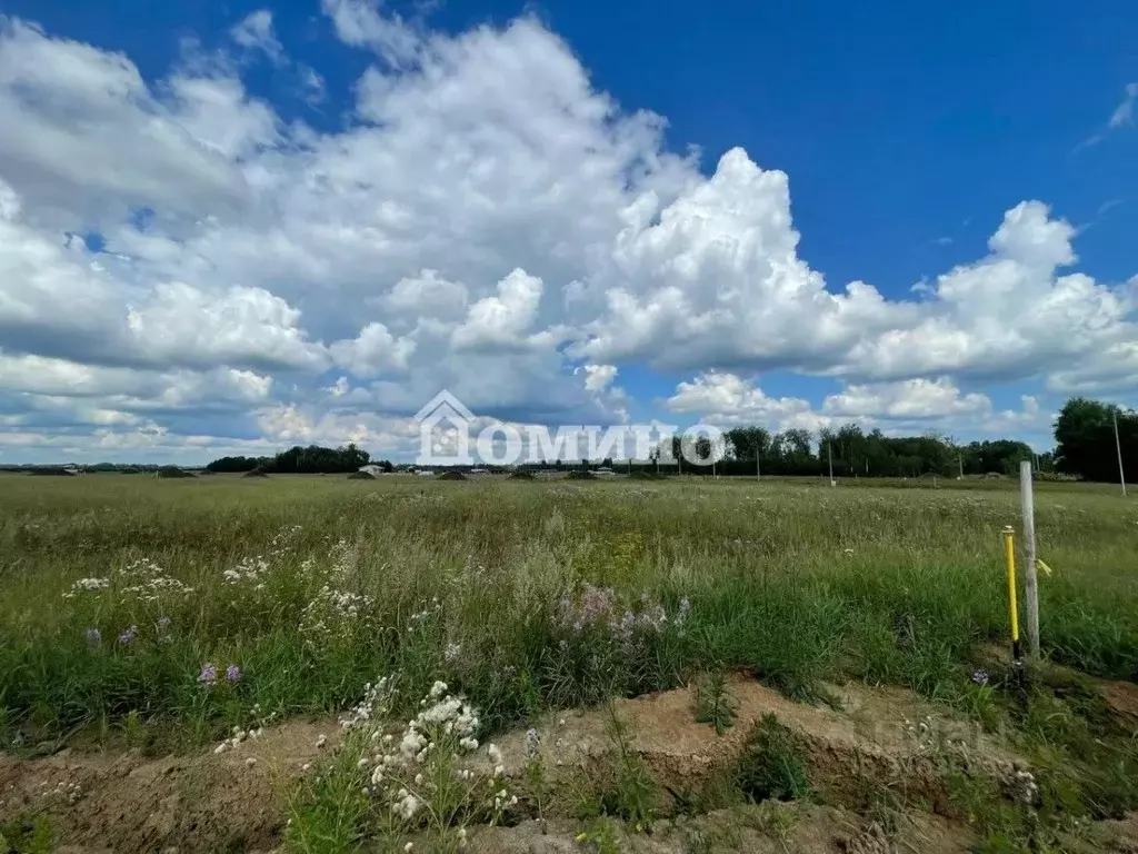 Участок в Тюменская область, Тюменский район, Новокаменский кп ул. ... - Фото 1