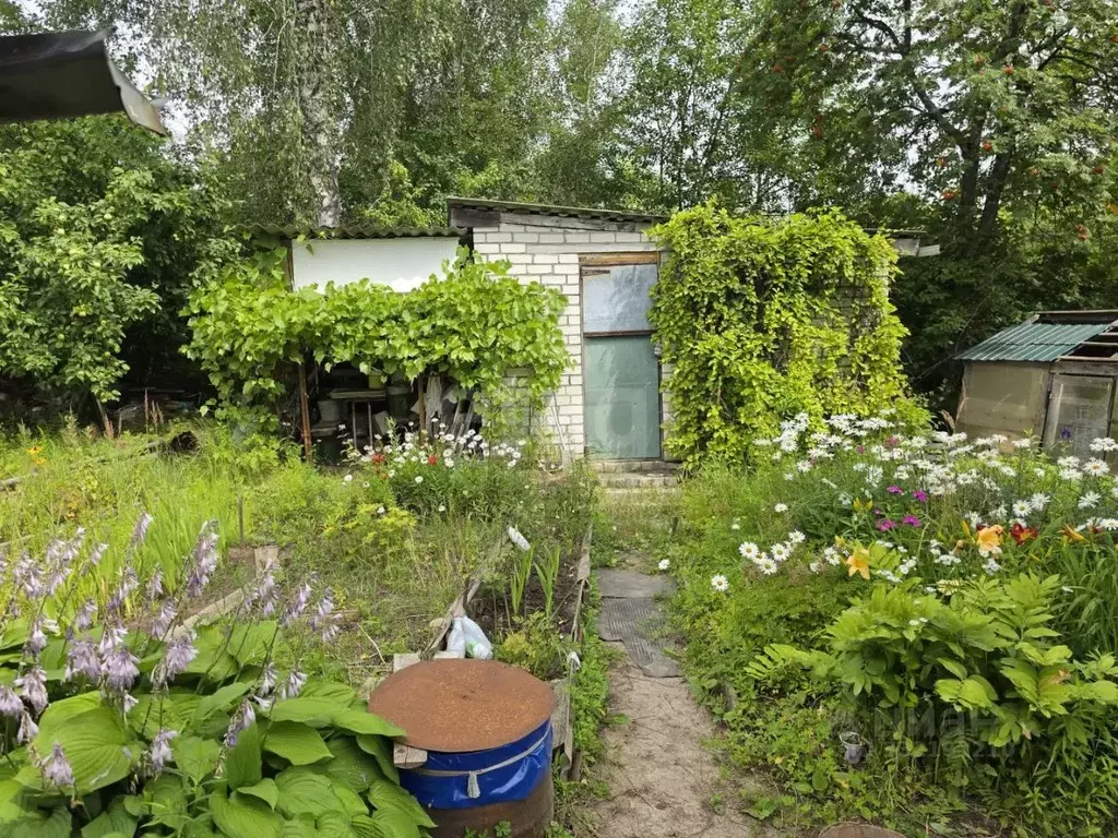 Дом в Брянская область, Брянск Дормаш-2 садовое общество,  (30 м) - Фото 2