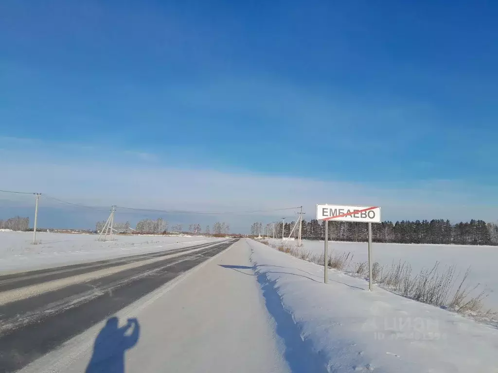 Участок в Тюменская область, Тюменский муниципальный округ, с. Ембаево ... - Фото 1