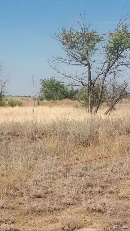 Участок в Волгоградская область, Городище рп ул. Имени Левитана (4.99 ... - Фото 0
