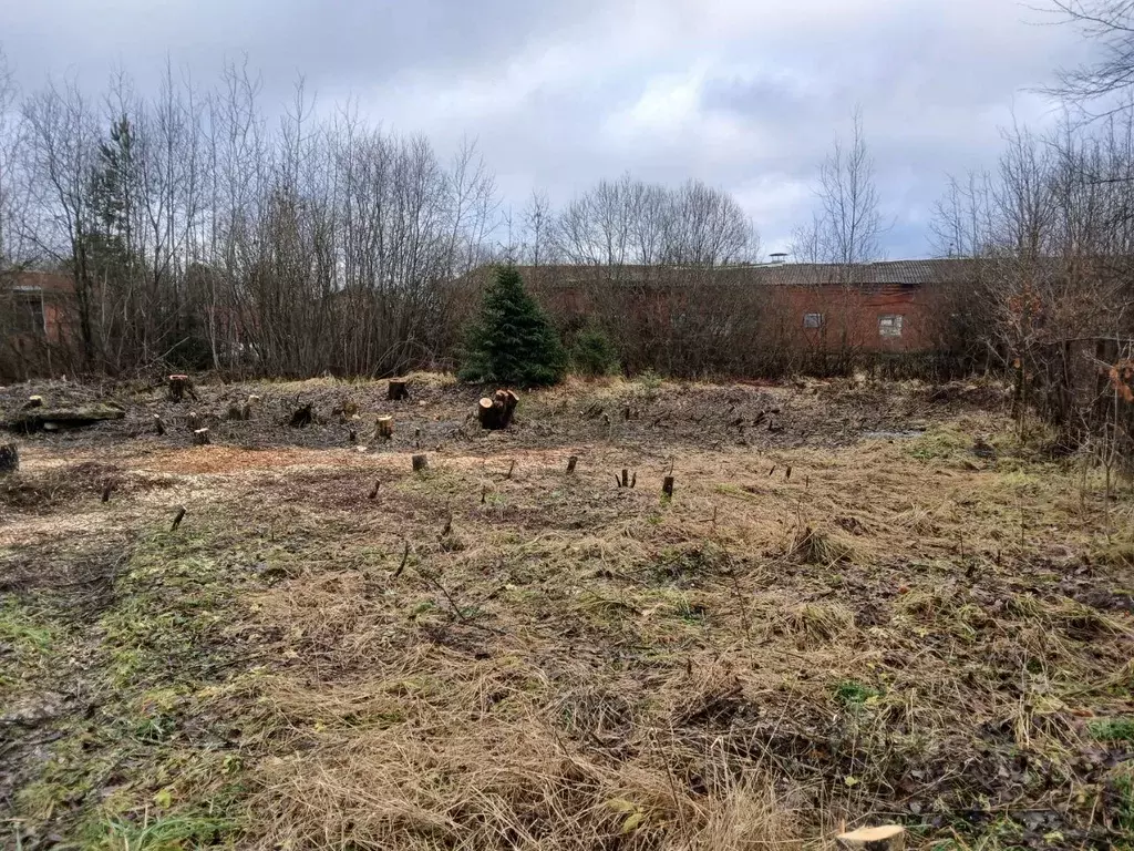 Участок в Московская область, Одинцовский городской округ, с. ... - Фото 1