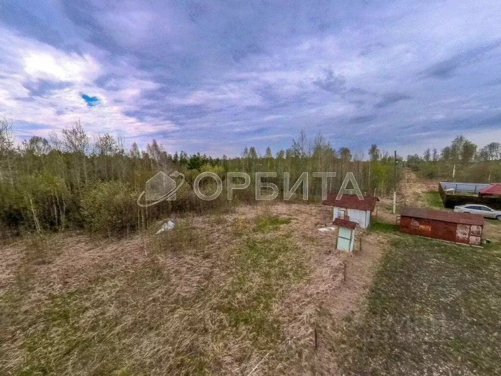 Участок в Тюменская область, Нижнетавдинский район, Сочинские СНТ 17-я ... - Фото 1