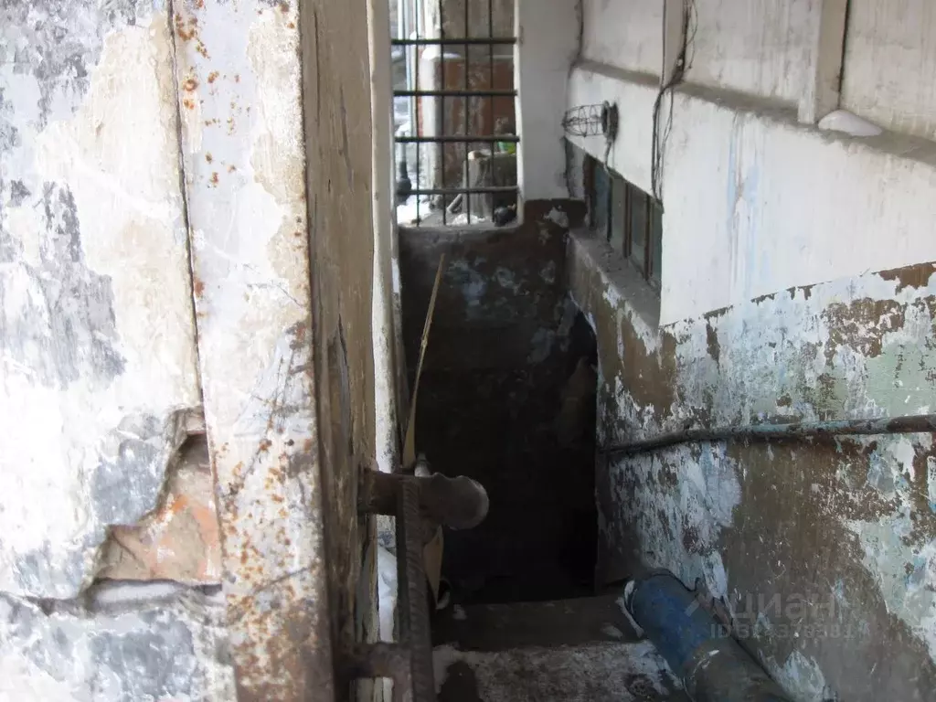 Помещение свободного назначения в Алтайский край, Барнаул просп. ... - Фото 2