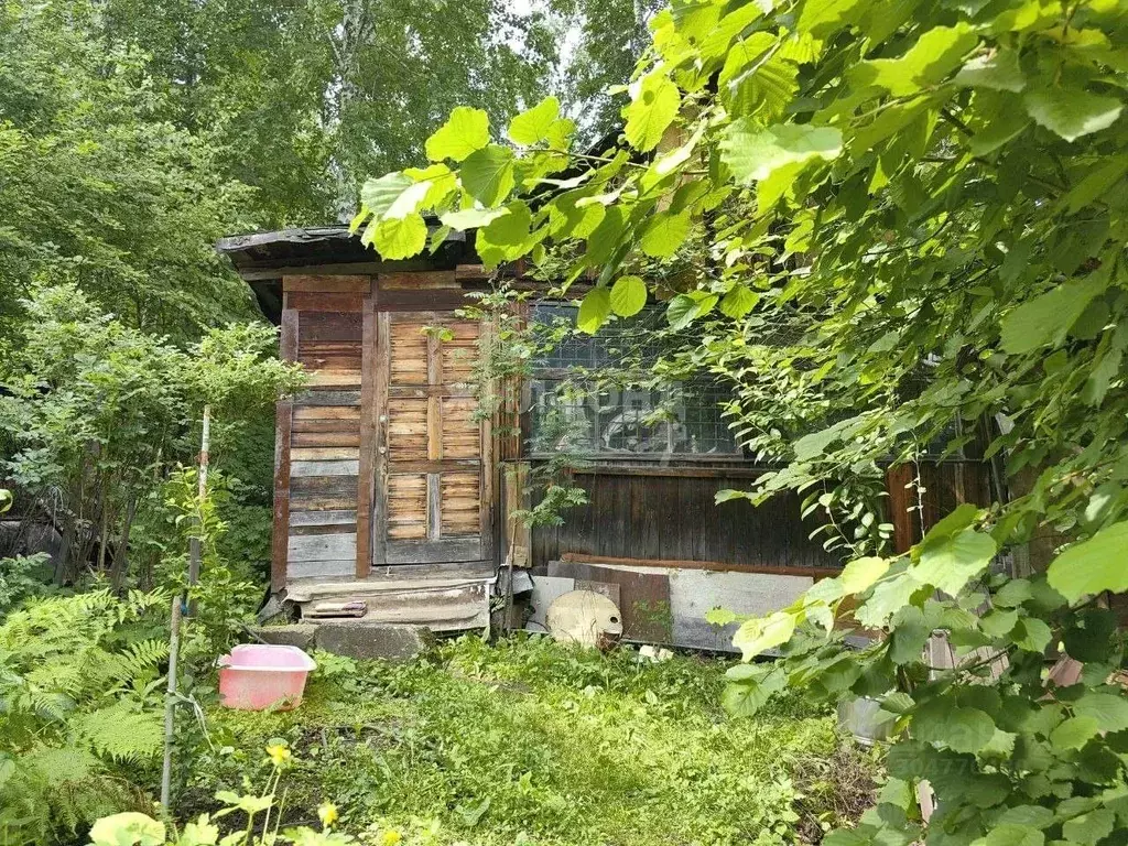 Дом в Новосибирская область, Новосибирск Труд садовое товарищество,  ... - Фото 0