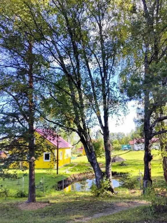 Дом в Карелия, Пряжинский район, пос. Матросы Школьная ул., 12 (44 м) - Фото 1