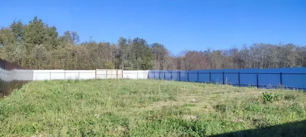 Участок в Санкт-Петербург пос. Петро-Славянка, Красноармейское СНТ, ... - Фото 1