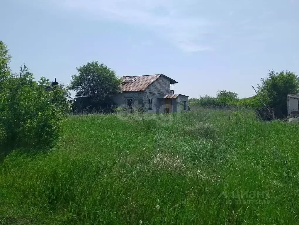 Участок в Амурская область, Благовещенск пл. Ленина (10.0 сот.) - Фото 0