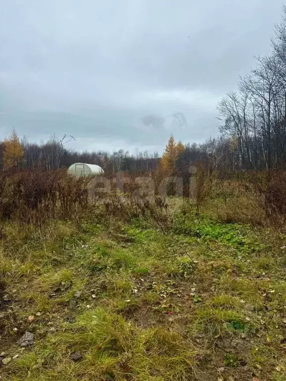Участок в Сахалинская область, Южно-Сахалинск Малыш СНТ, 3 (12.0 сот.) - Фото 1