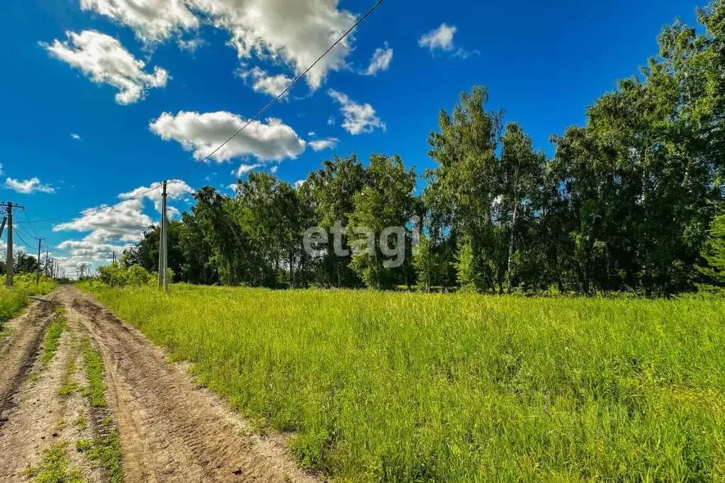 Участок в Новосибирская область, Бердск ул. Ясная (10.0 сот.) - Фото 0