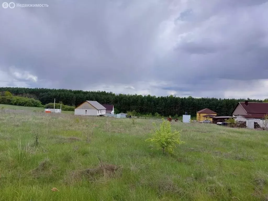 Участок в Белгородская область, Яковлевский муниципальный округ, село ... - Фото 1