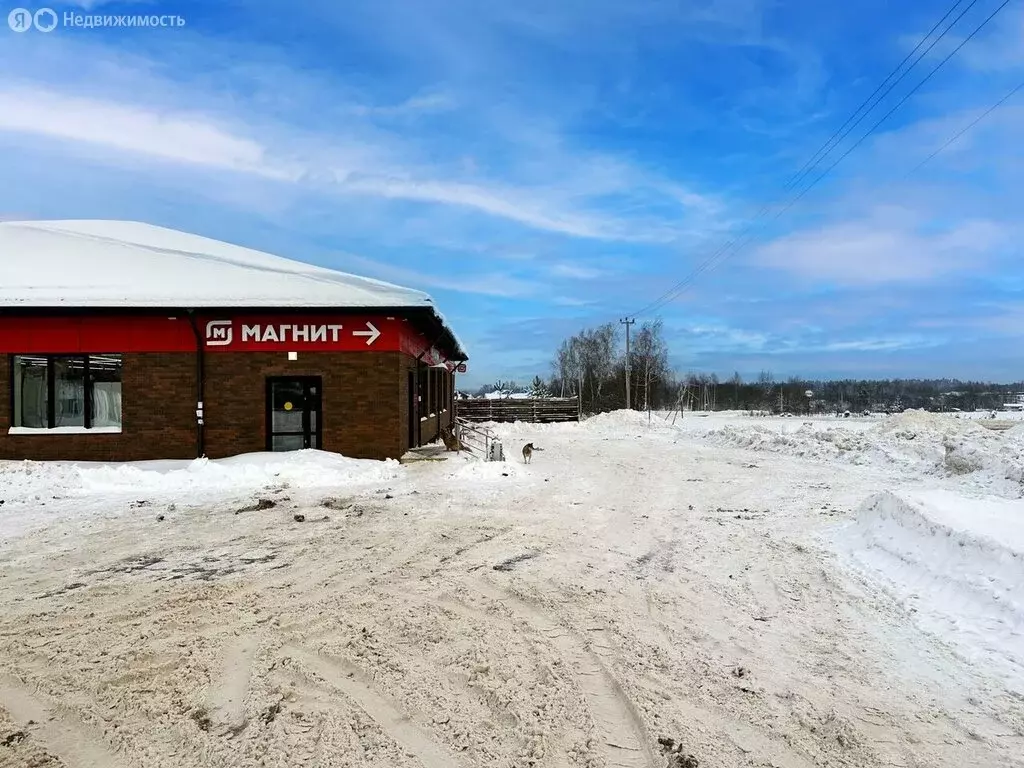 Участок в Московская область, городской округ Клин, КП Коськово, 278 ... - Фото 2