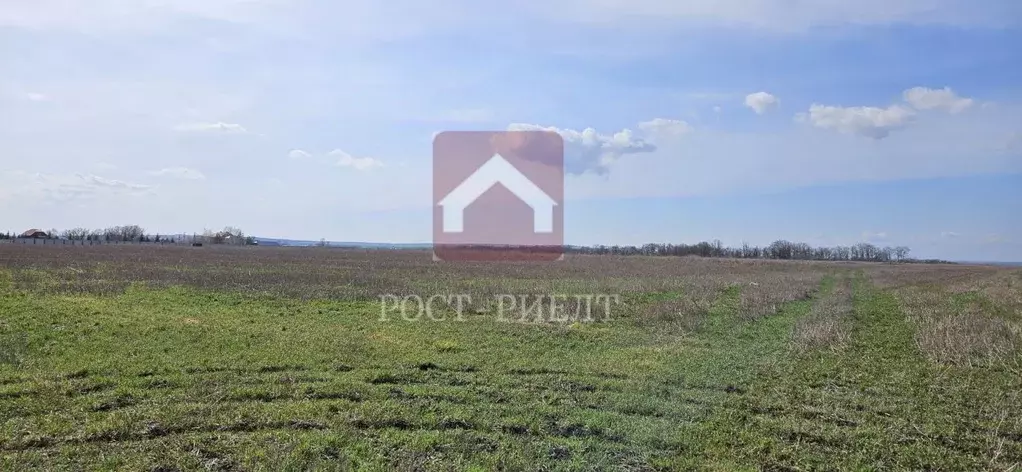 Участок в Саратовская область, Воскресенский район, Елшанское ... - Фото 0