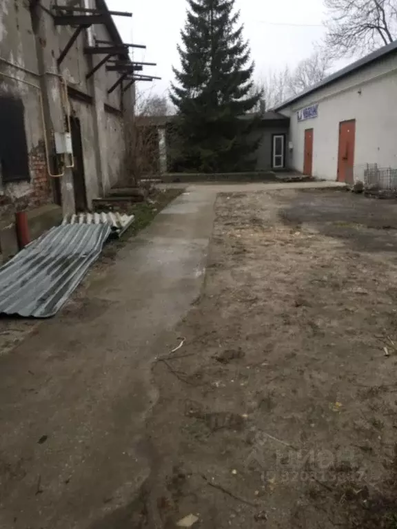 Помещение свободного назначения в Калининградская область, Калининград ... - Фото 0