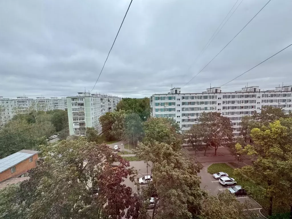 1-к кв. Московская область, Черноголовка Лесная ул., 5 (33.0 м) - Фото 1