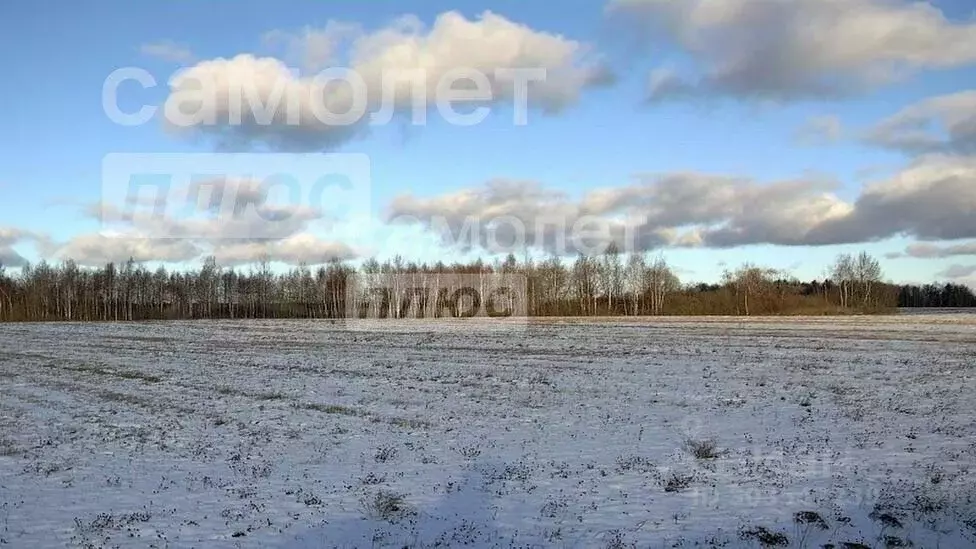 Участок в Пензенская область, Кузнецкий район, Лесные Родники садовое ... - Фото 0