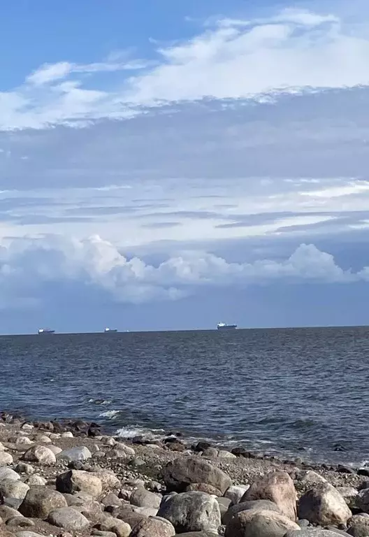 Участок в Ленинградская область, Выборгский район, Полянское с/пос, ... - Фото 1