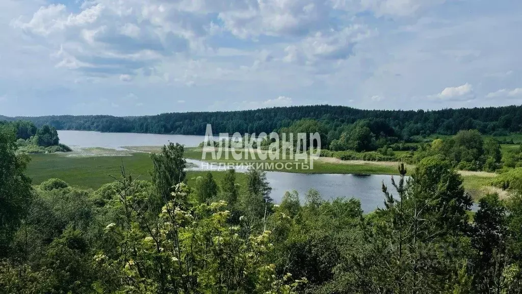 Участок в Ленинградская область, Выборгский район, Каменногорское ... - Фото 0