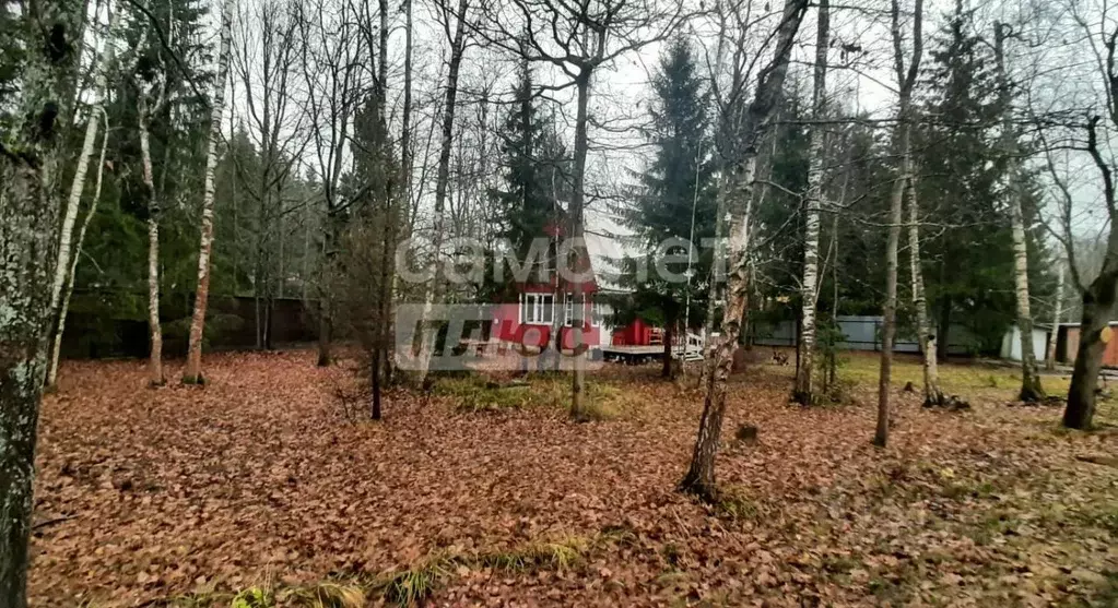 Дом в Москва пос. Армейский, Конверсия дачно-садоводческий кооператив, ... - Фото 1