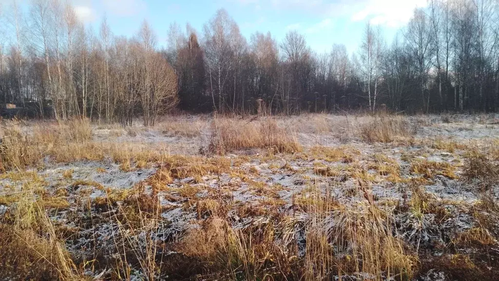 Участок в Ярославская область, Переславль-Залесский муниципальный ... - Фото 1