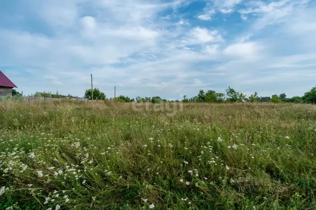 Участок в Алтайский край, Бийск городской округ, с. Фоминское ул. ... - Фото 0