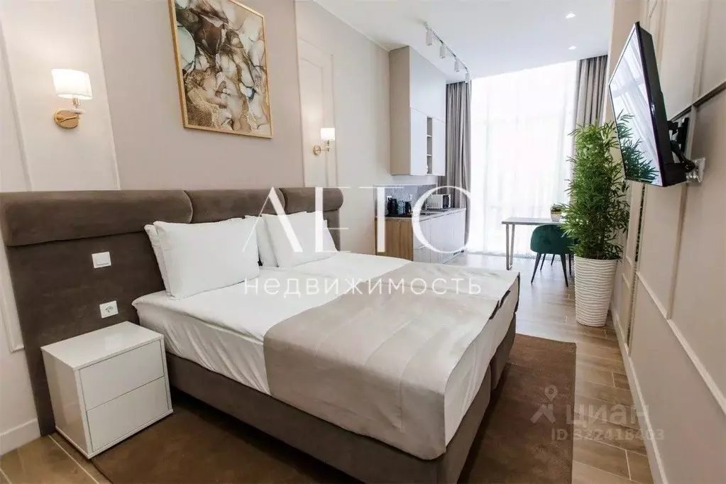 Студия Краснодарский край, Сочи Центральный мкр, ул. Навагинская, 11А ... - Фото 2