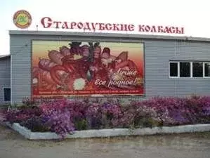 Производственное помещение в Брянская область, Стародуб ул. Семашко, ... - Фото 0