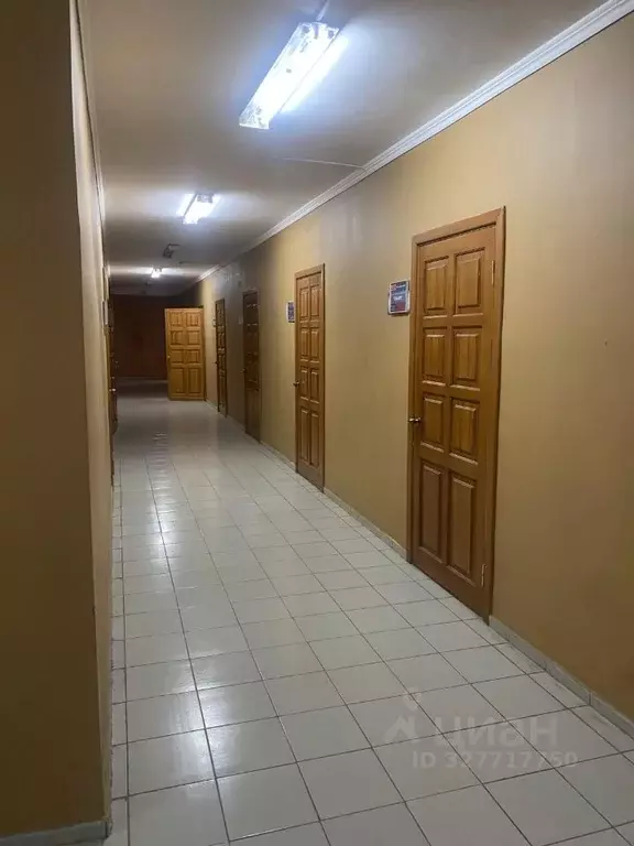 Офис в Иркутская область, Иркутск ул. Блюхера, 12 (57 м) - Фото 1